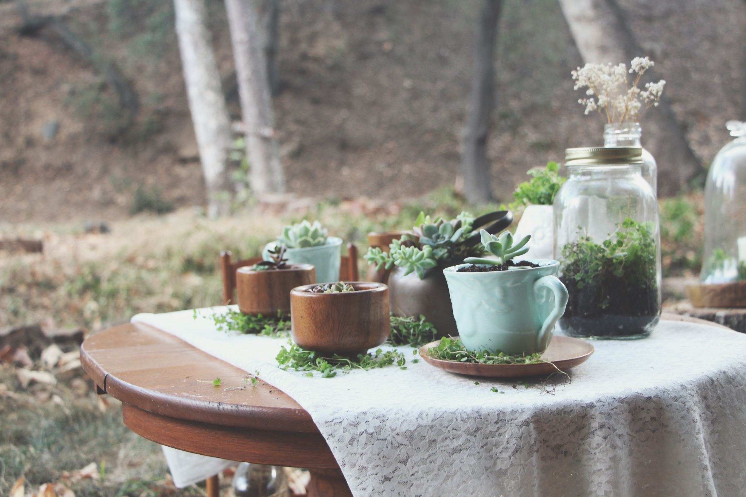 A Succulent Tea Party via Needles + Leaves :: we styled this photo shoot with succulents in a teapot, teacups, mason jars, a bell jar, and terra cotta pots. :: flowers, roses, daisies, babies breath::&nbsp;vintage inspired owl, reused, repurposed, s…